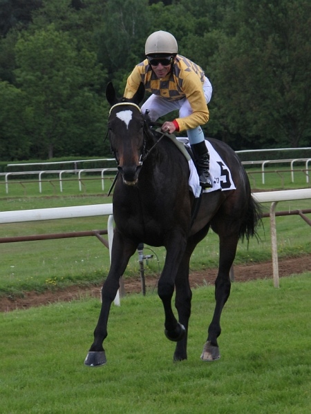 Bult VGH2011   077.jpg